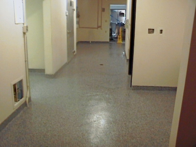 Residential Epoxy Floor Installation Williamsport by City Epoxy