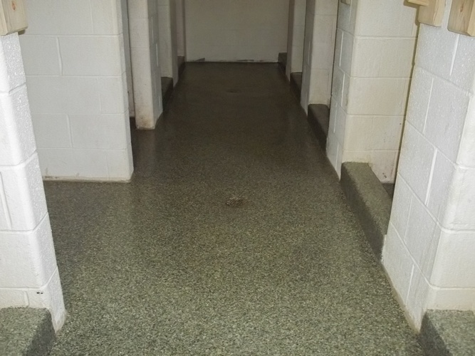 Commercial Washroom Epoxy Flooring by Epoxy Flooring Contractors Williamsport - City Epoxy